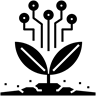 Image 02